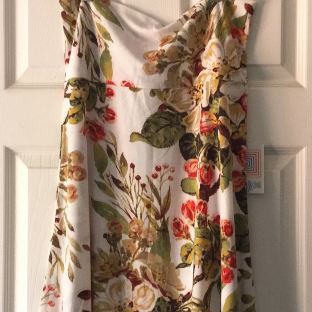 Lularoe Maxi Skirt